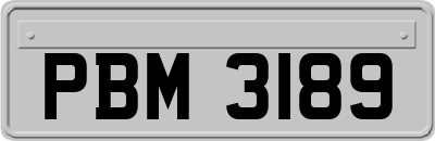 PBM3189