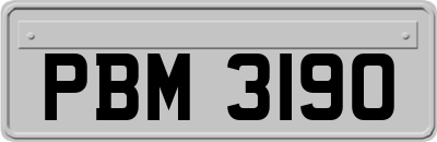 PBM3190