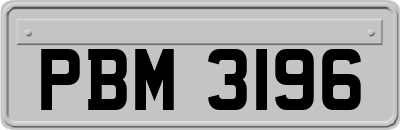 PBM3196