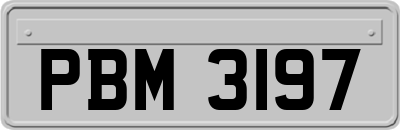 PBM3197