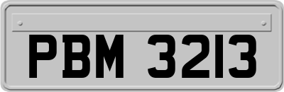 PBM3213