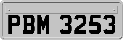 PBM3253