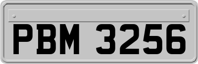 PBM3256