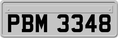 PBM3348