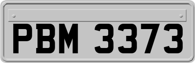 PBM3373