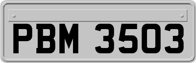 PBM3503