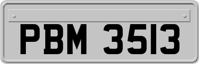 PBM3513