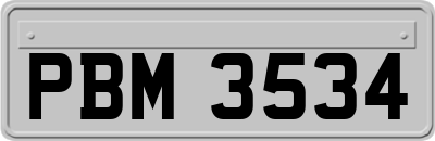 PBM3534