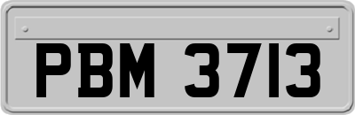 PBM3713