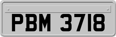 PBM3718