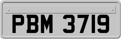 PBM3719