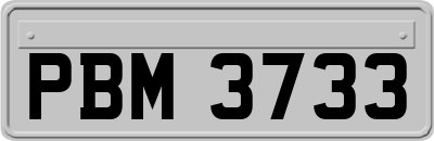 PBM3733