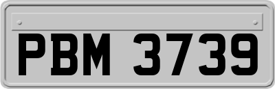 PBM3739