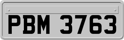 PBM3763