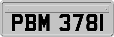 PBM3781