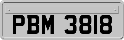 PBM3818