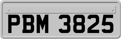 PBM3825