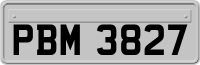 PBM3827