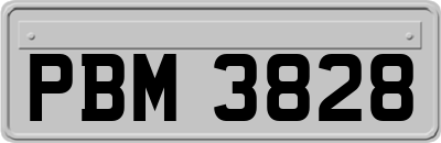 PBM3828