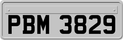 PBM3829