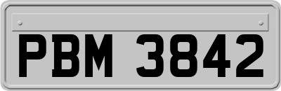 PBM3842