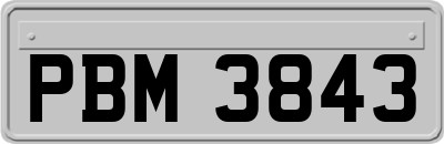 PBM3843