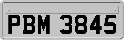 PBM3845