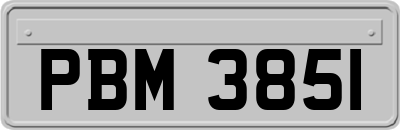 PBM3851