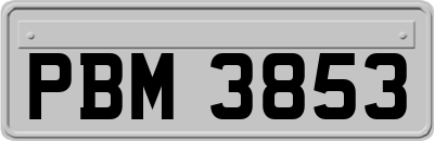 PBM3853