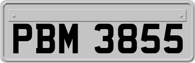 PBM3855