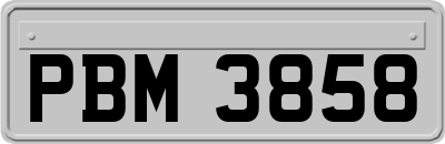 PBM3858