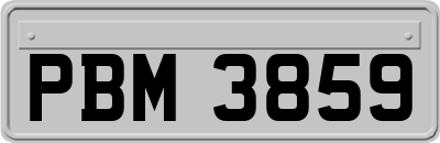 PBM3859