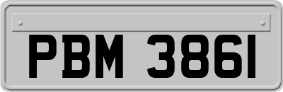 PBM3861