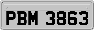 PBM3863