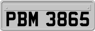 PBM3865