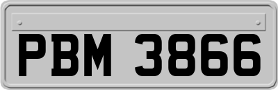 PBM3866