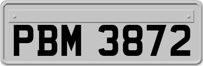 PBM3872