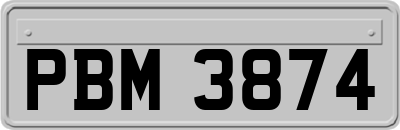 PBM3874