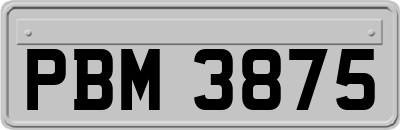 PBM3875