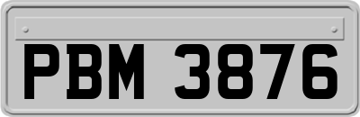 PBM3876