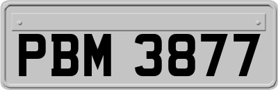 PBM3877