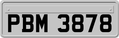 PBM3878