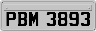 PBM3893