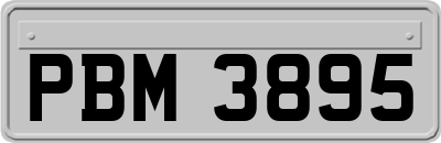 PBM3895