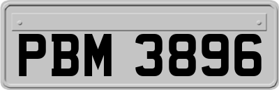 PBM3896