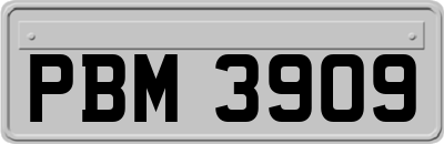 PBM3909