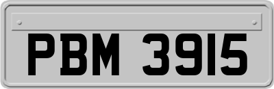 PBM3915