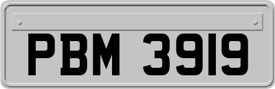 PBM3919