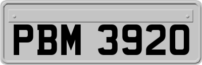 PBM3920