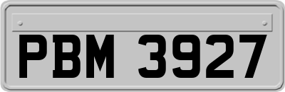 PBM3927